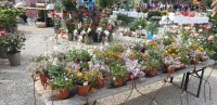Schloss Eyrichshof Gartenfest 2025